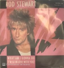 Rod Stewart What Am I Gonna Do 45lik