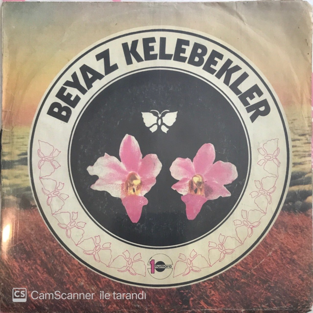 Beyaz Kelebekler Ne Güzel Olmuşsun 45lik