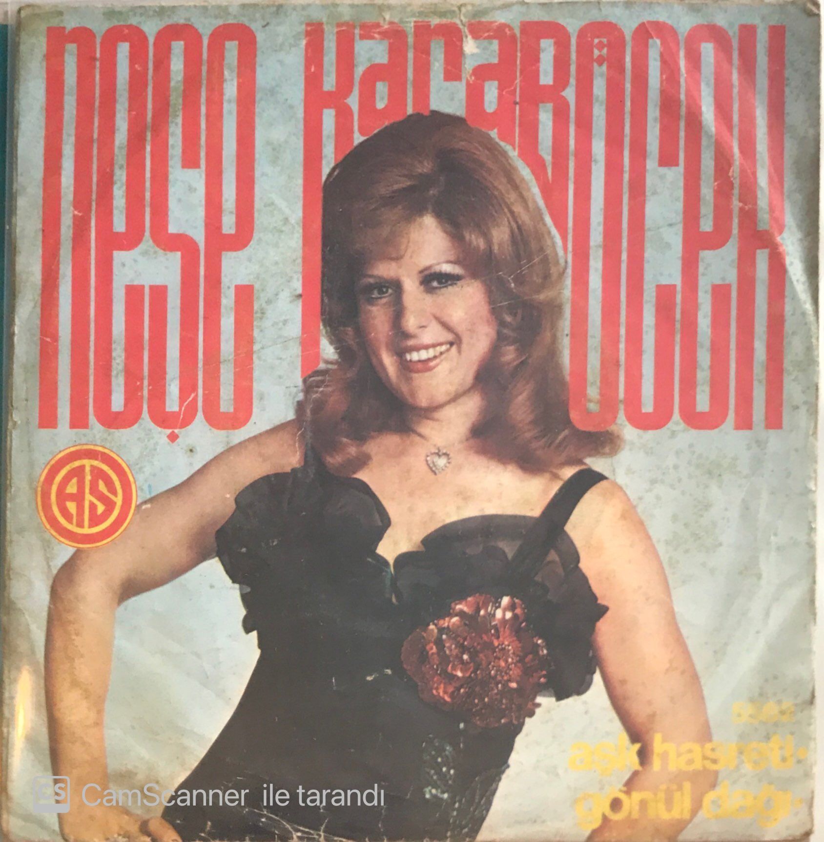 Neşe Karaböcek Gönül Dağı 45lik