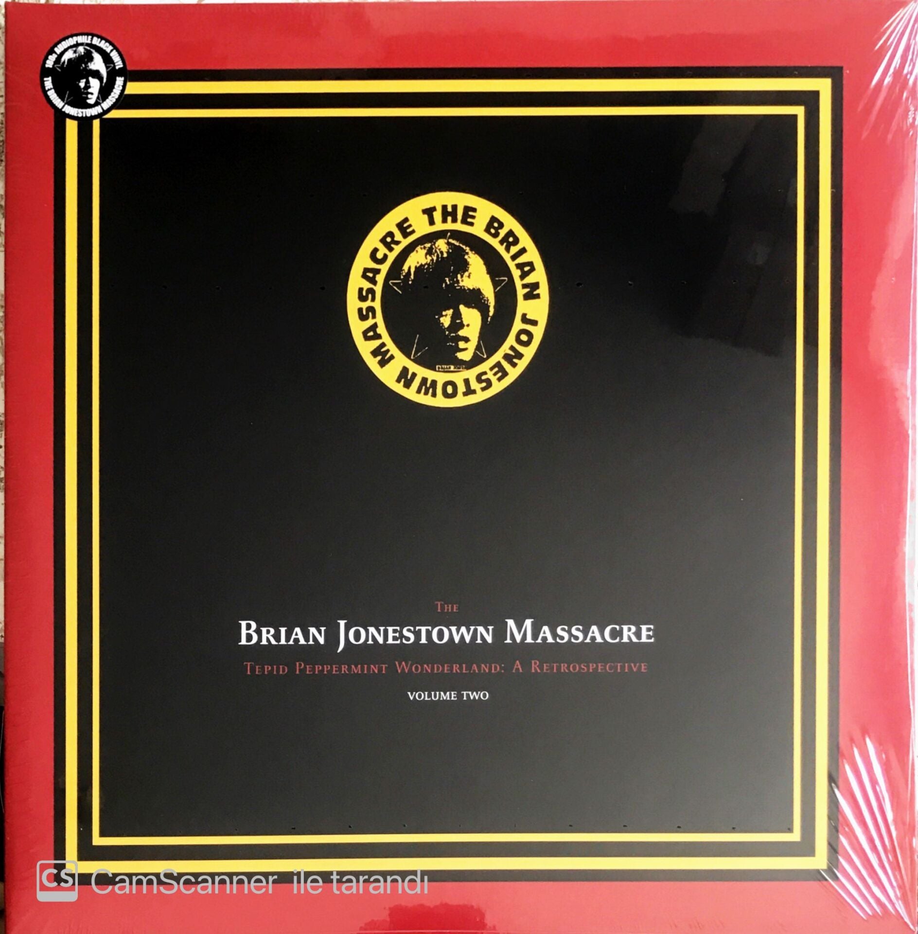 The Brian Jonestown Massacre - Tepid Peppermint Wonderland:A Retrospective Vol. 2 - LP
