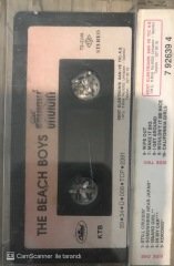 Still Cruisin The Beach Boys KASET