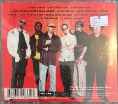 The Fabulous Thunderbirds - Painted On CD