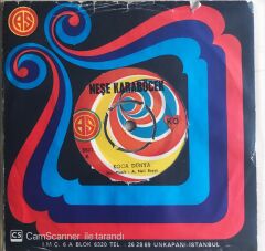 Neşe Karaböcek - Koca Dünya - 45'lik