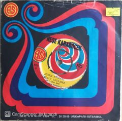 Neşe Karaböcek - Koca Dünya - 45'lik