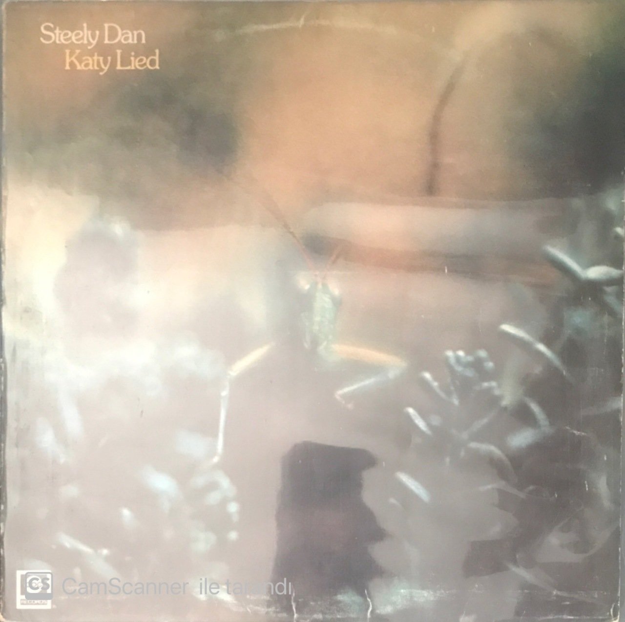 Steely Dan Katy Lied LP
