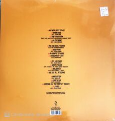 Guts - Hip Hop After All - Double LP