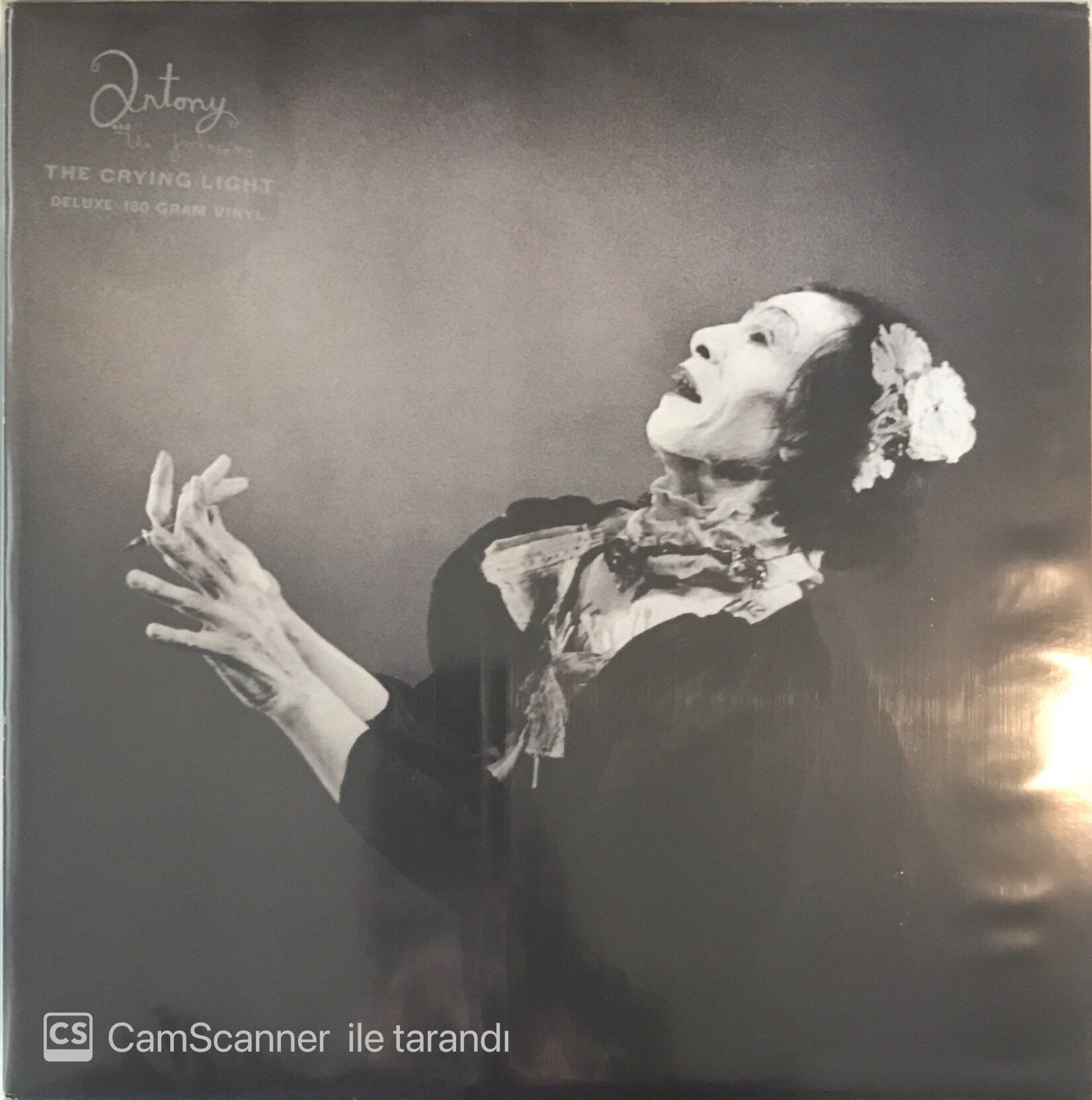 Antony And The Johnsons The Crying Light LP