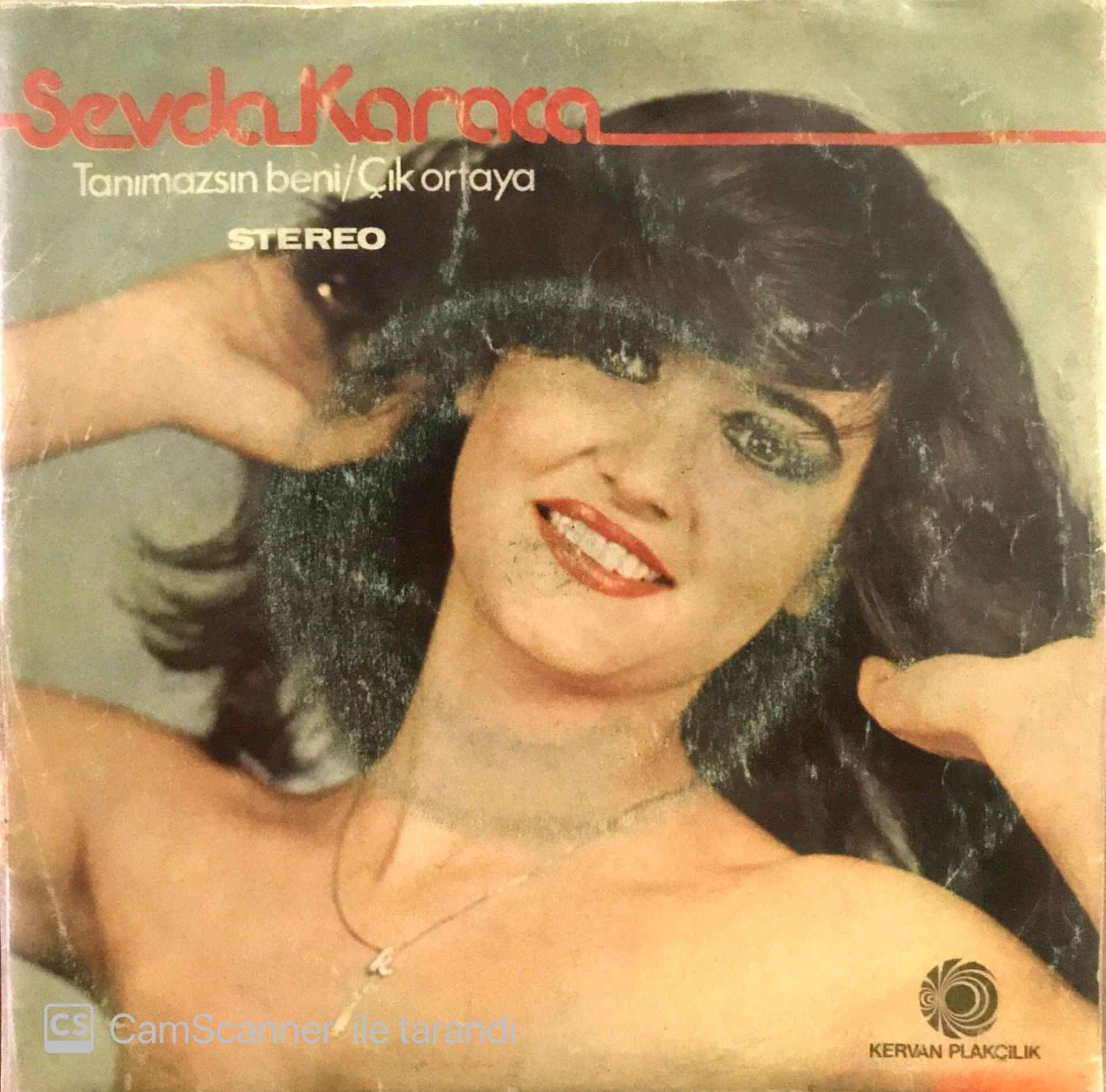 Sevda Karaca Tanımazsın Beni 45lik