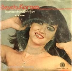 Sevda Karaca Tanımazsın Beni 45lik