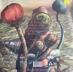 Sibel Tüzün Hayat Buysa Ben Yokum Bu Yolda LP