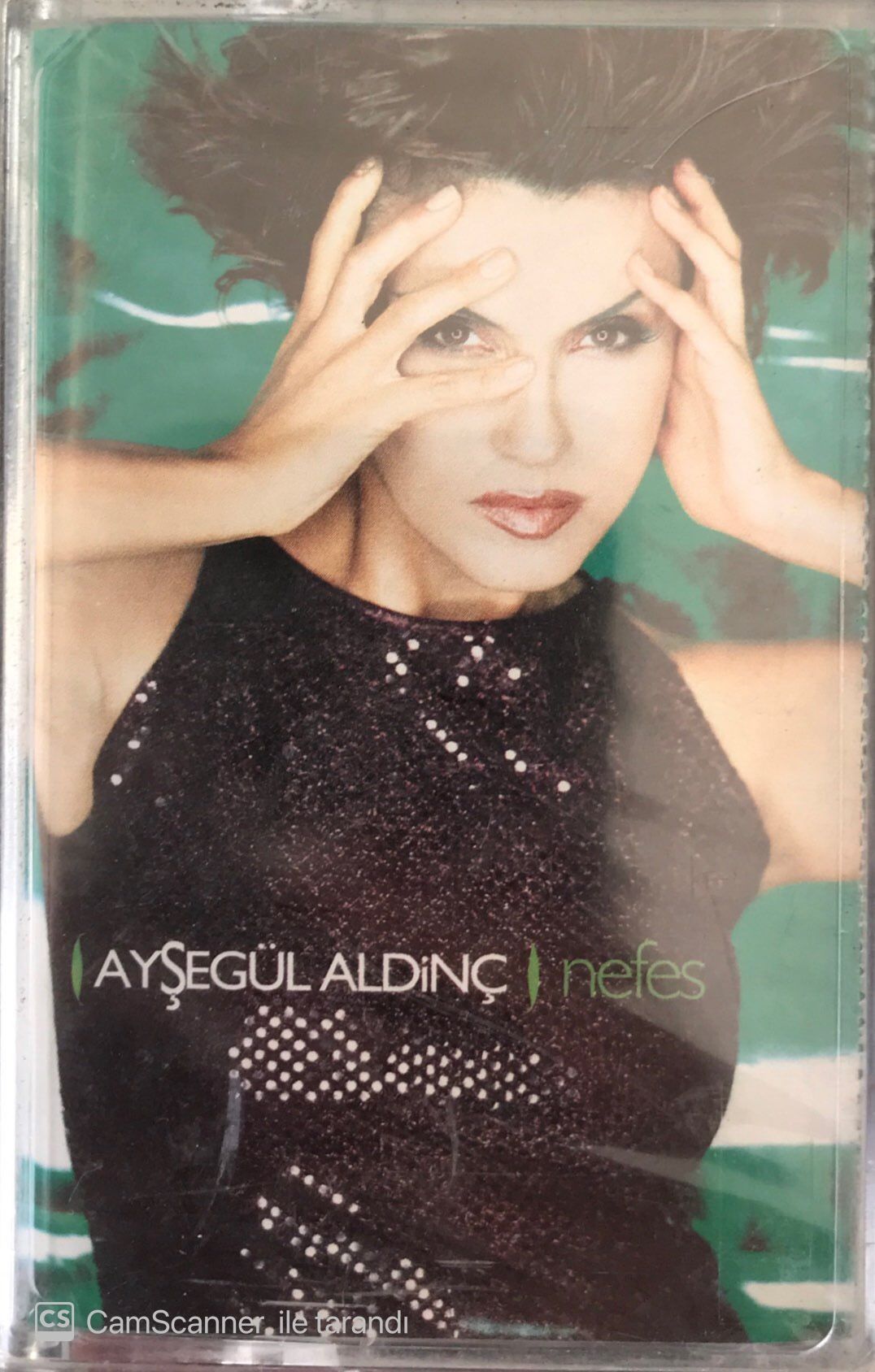 Ayşegül Aldinç Nefes KASET