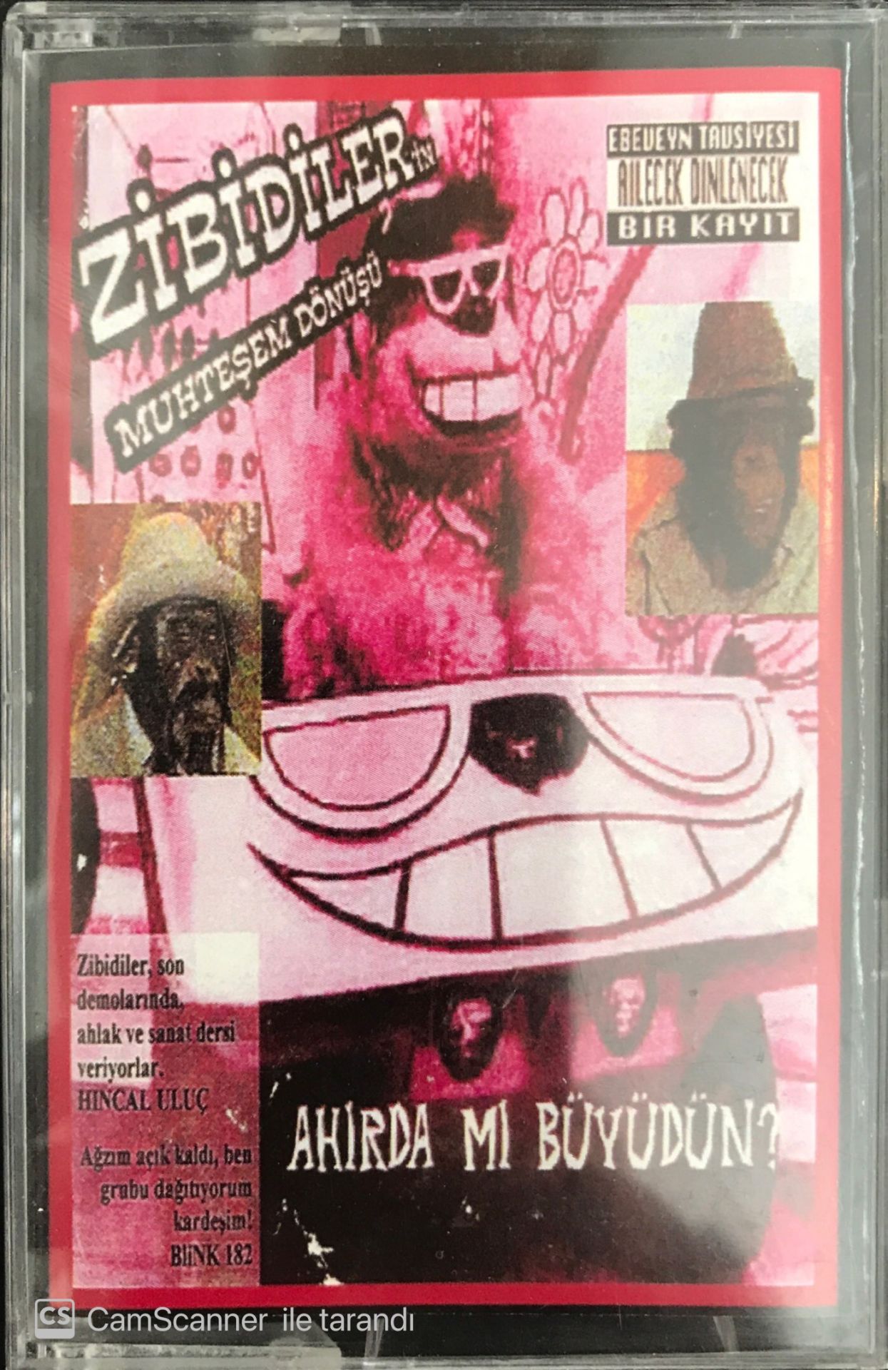 Zibidiler - Ahırda Mı Büyüdün KASET