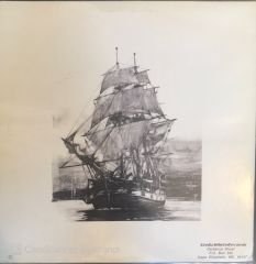 Cerberus Shoal - Cerberus Shoal LP