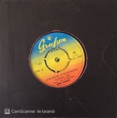 Zeki Müren Canın İsterse 45lik