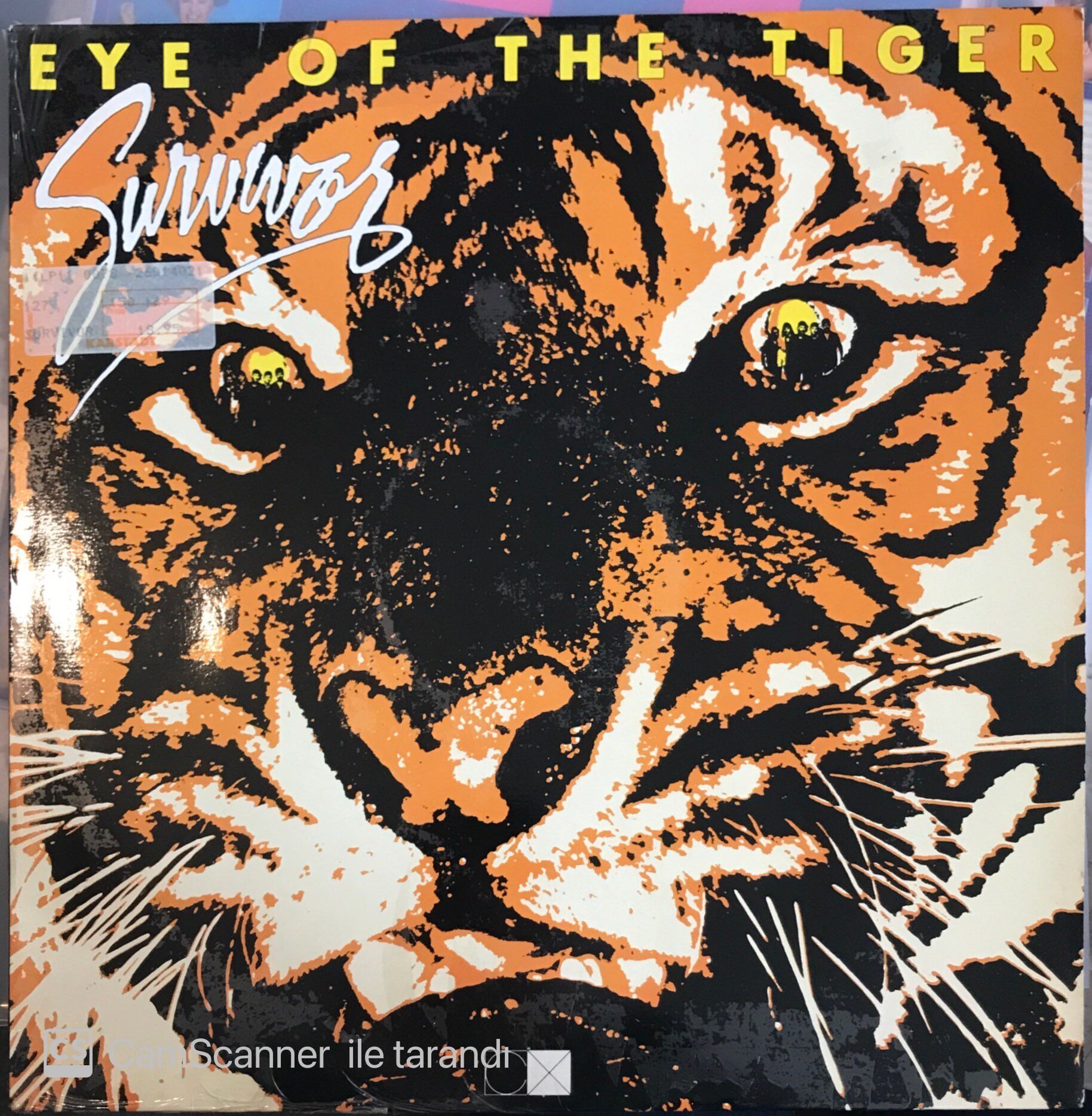 Survivor Eye Of The Tiger LP