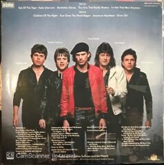 Survivor Eye Of The Tiger LP