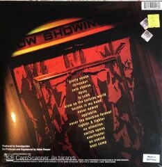 Soundgarden Down on the Upside LP