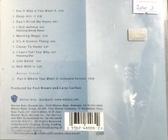 Larry Carlton - Deep into It CD
