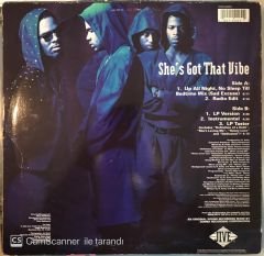 R. Kelly And Public Announcement - She's Got That Vibe MAXİ