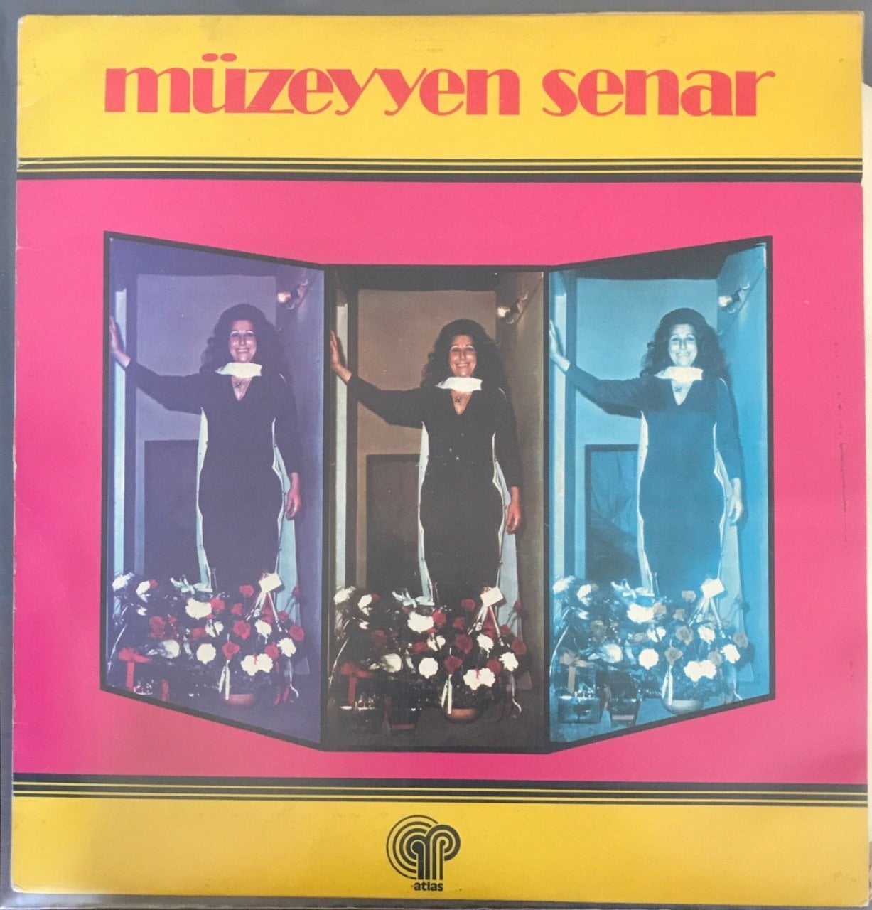 Müzeyyen Senar Veda Armağanı 2 LP