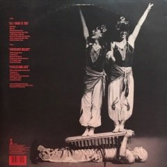 U2 All I Want Is You LP