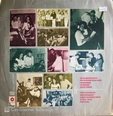 Erol Evgin - İşte Öyle Bir Şey - LP