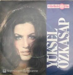 Yüksel Özkasap Asker Yolu Beklerim 45lik