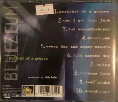 Bluezeum - Portrait Of a Groove CD