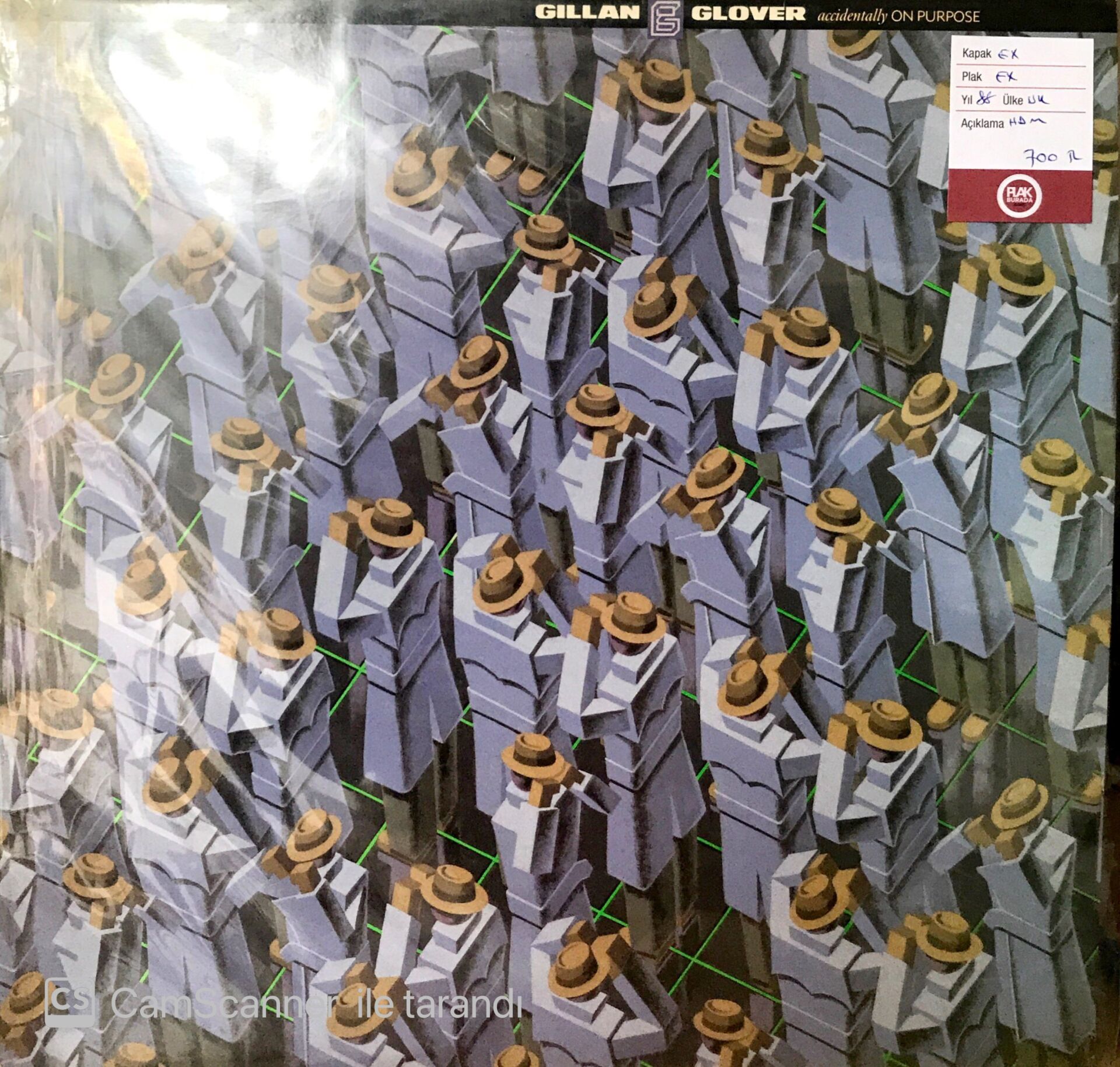 Gillan Glover / Accidenttally On Purpose LP