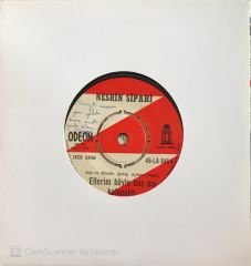 Nesrin Sipahi Ellerim Böyle Boş Mu Kalacaktı 45lik