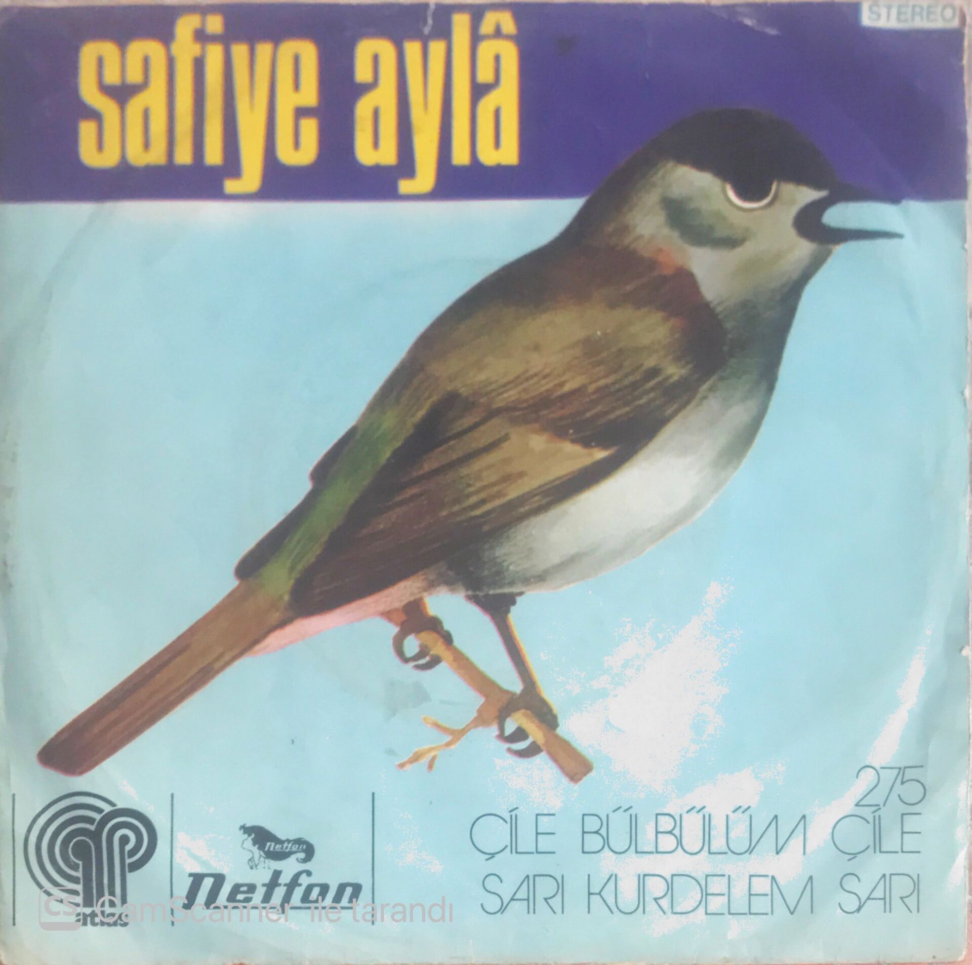 Safiye Ayla - Çile Bülbülüm Çile - 45'lik