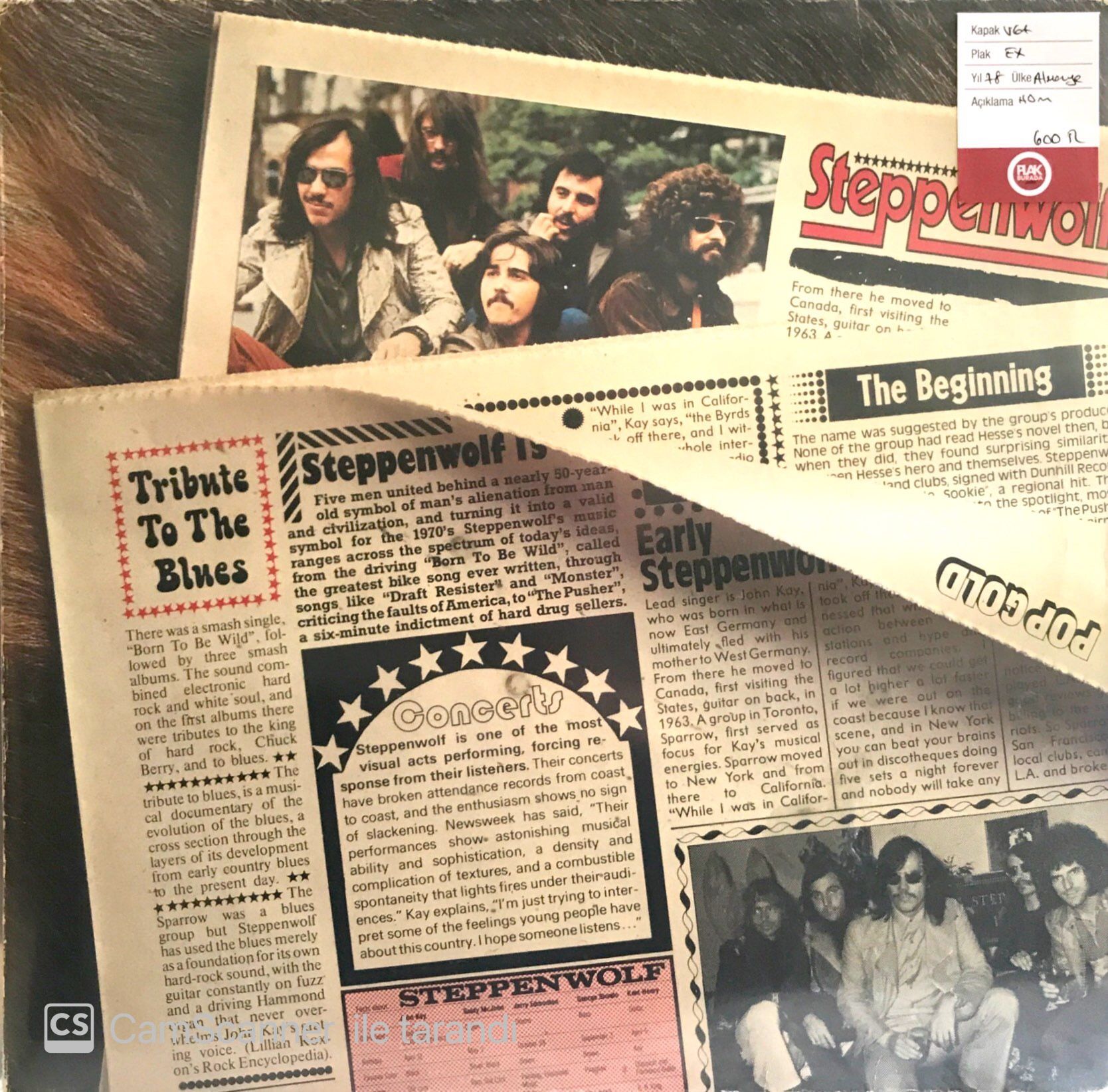 Steppenwolf / Pop Gold LP