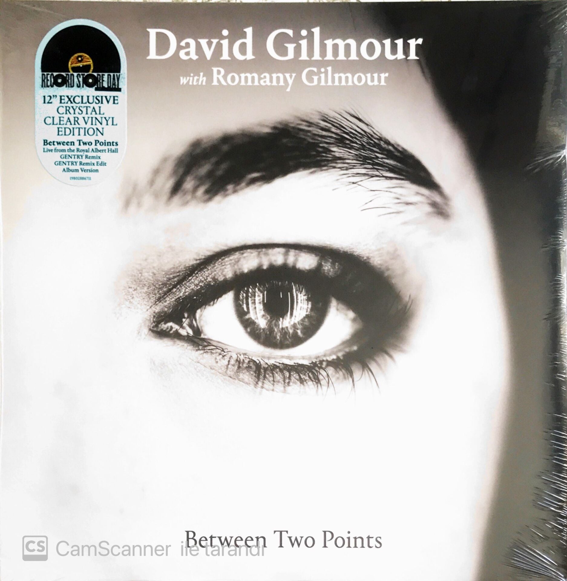 David Gilmour With Romany Gilmour - Between Two Points - (Maxi Single) - LP