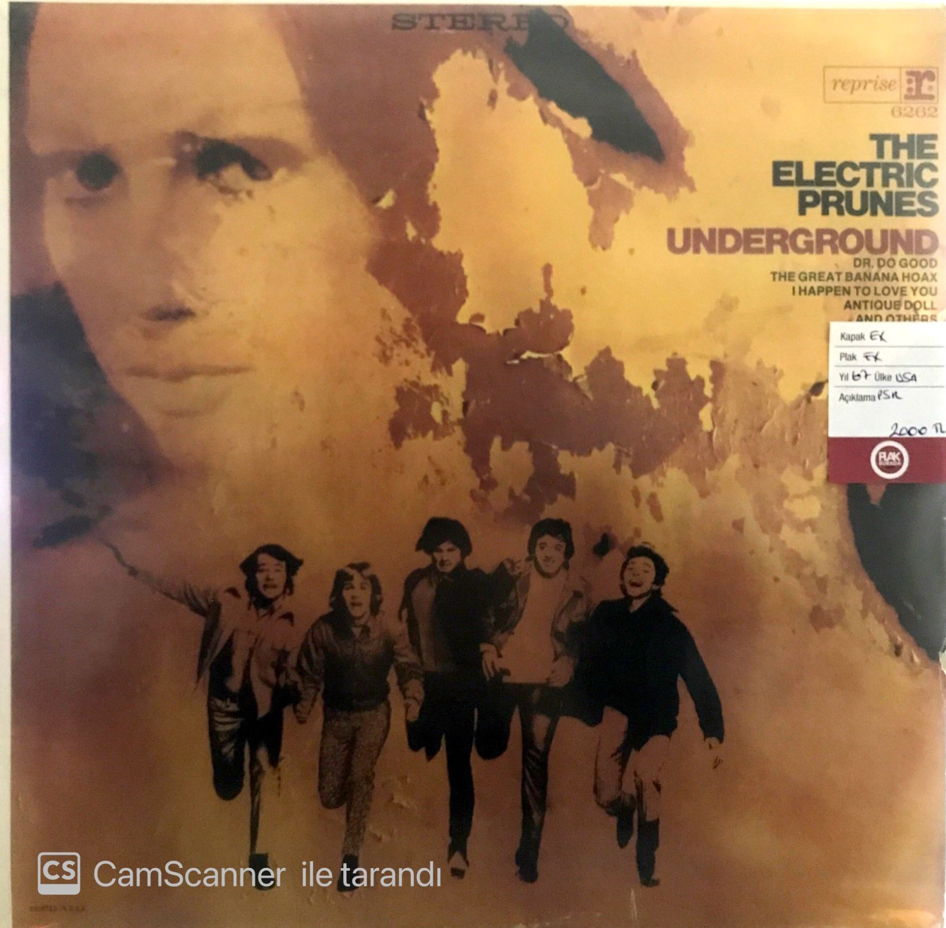 The Electric Prunes - Underground LP