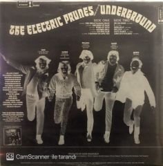 The Electric Prunes - Underground LP