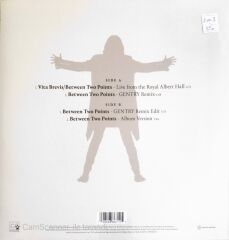 David Gilmour With Romany Gilmour - Between Two Points - (Maxi Single) - LP