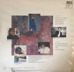 Saga - Wıldest Dreams LP