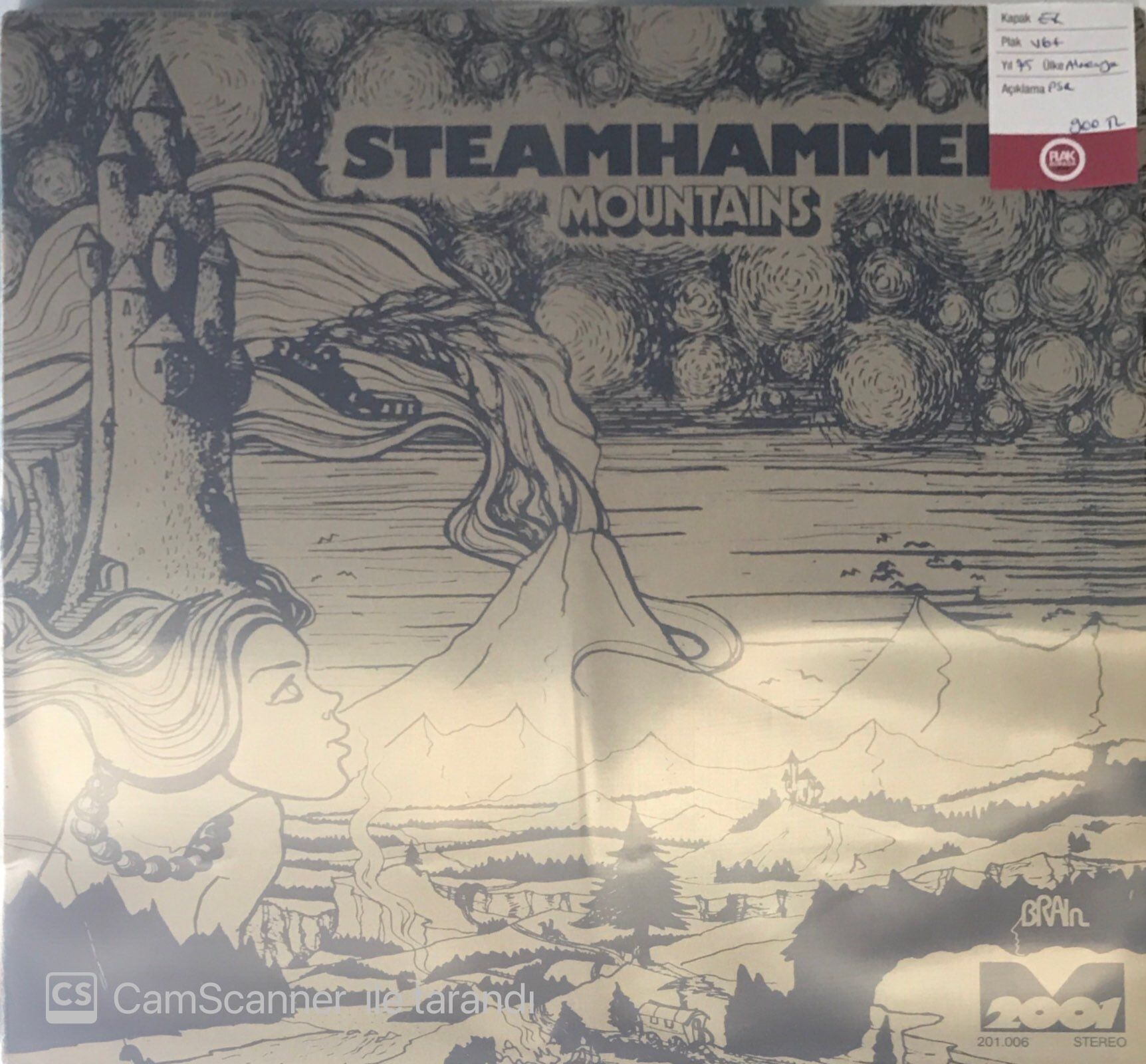 Steamhammer - Mountains LP