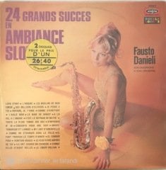 24 Grands Succes En Ambiance Slow Double LP