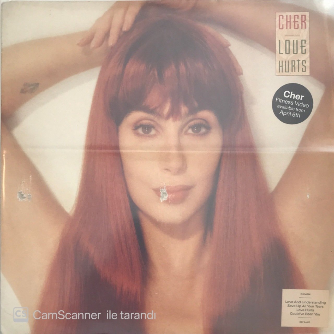 Cher Love Hurts LP