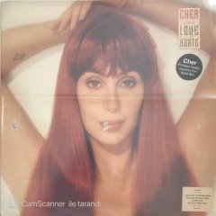 Cher Love Hurts LP
