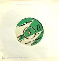 Nezahat Bayram Cevizin Yaprağı dal Arasında 45lik