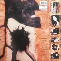 Wendy & Lisa Eroica LP
