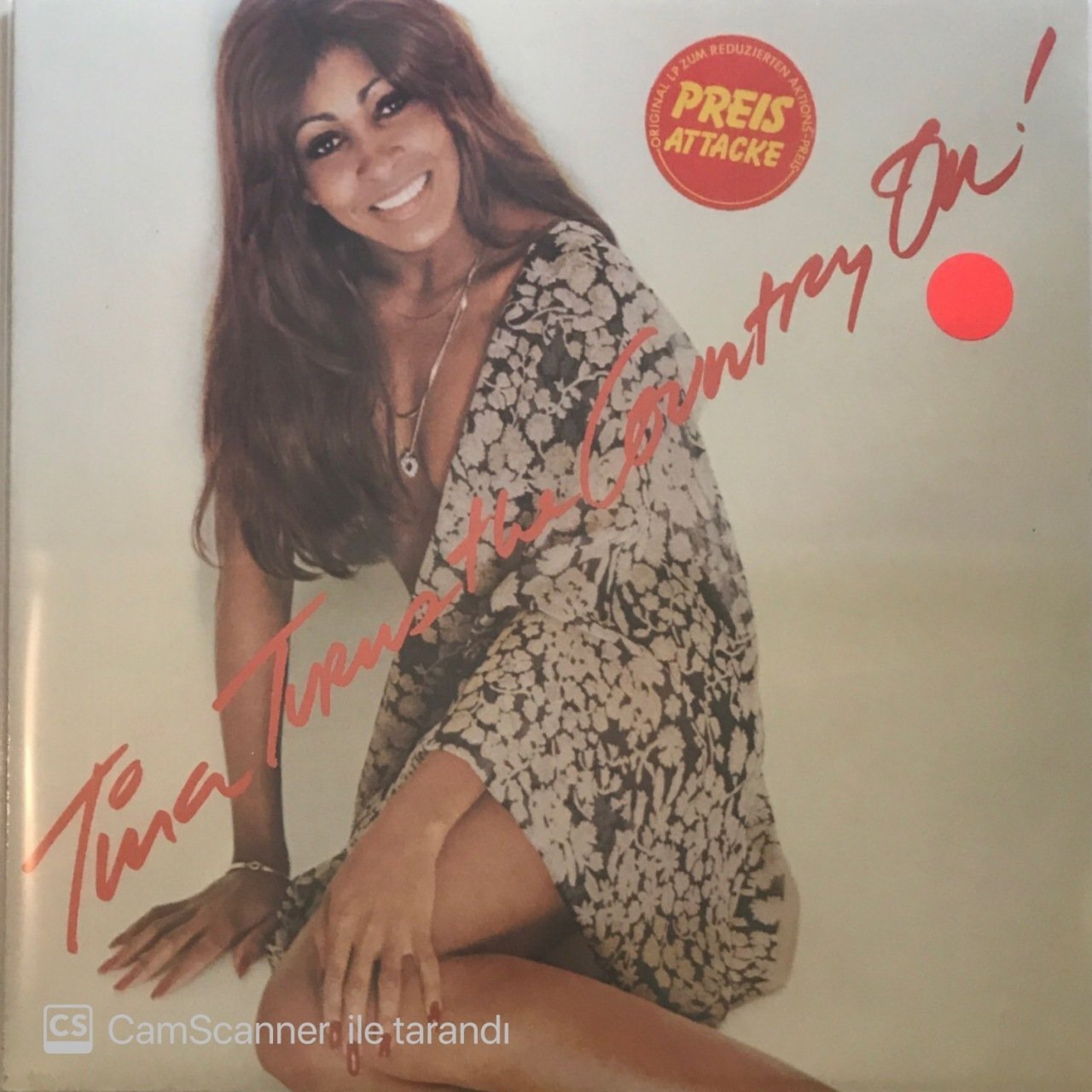 Tina Turner - Tina Turns The Country On LP