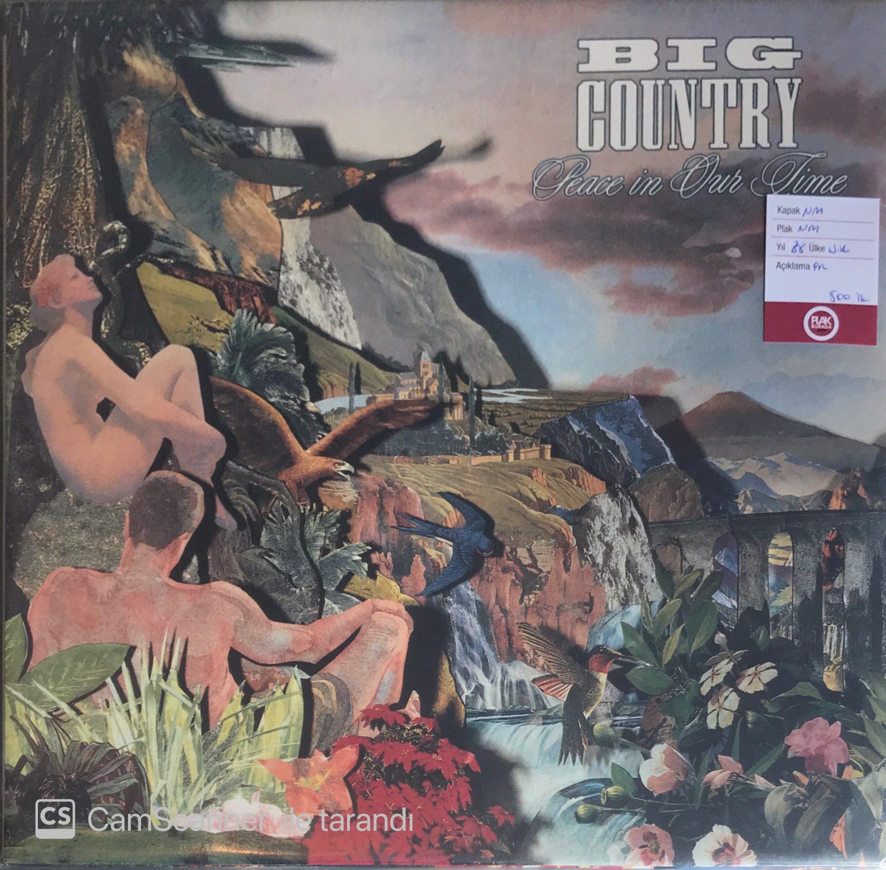 Big Country - Peace In Our Time LP