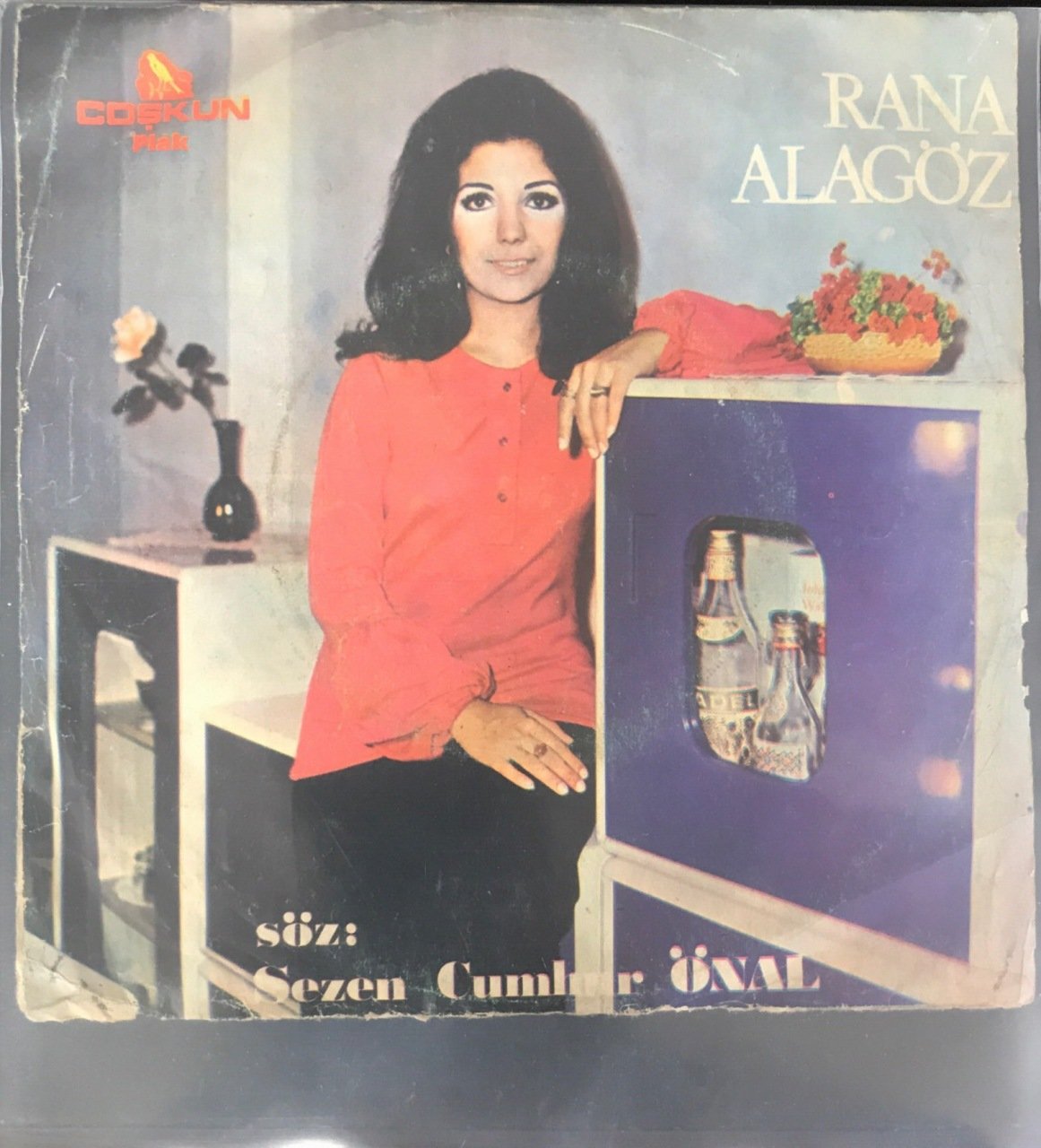 Rana Alagöz Sana Bıraktım Onu 45lik