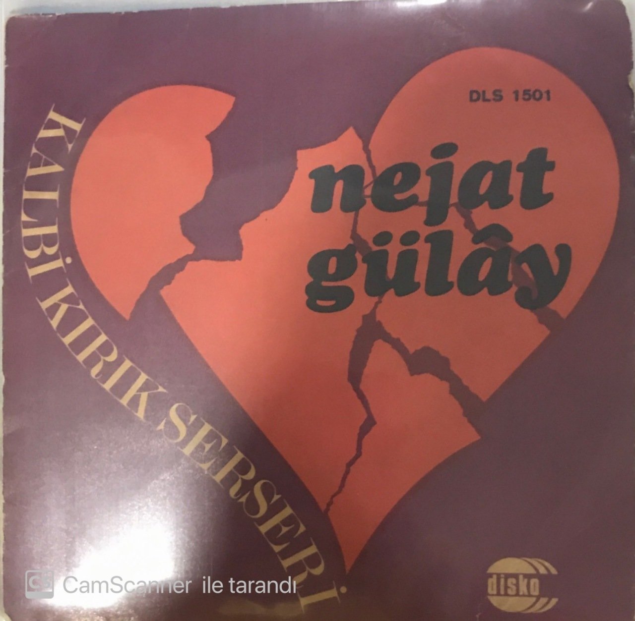 Nejat Gülay Kalbi Kırık Serseri 45lik