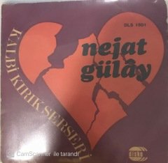 Nejat Gülay Kalbi Kırık Serseri 45lik