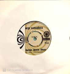 Neşe Karaböcek Dertler Benim Olsun 45lik