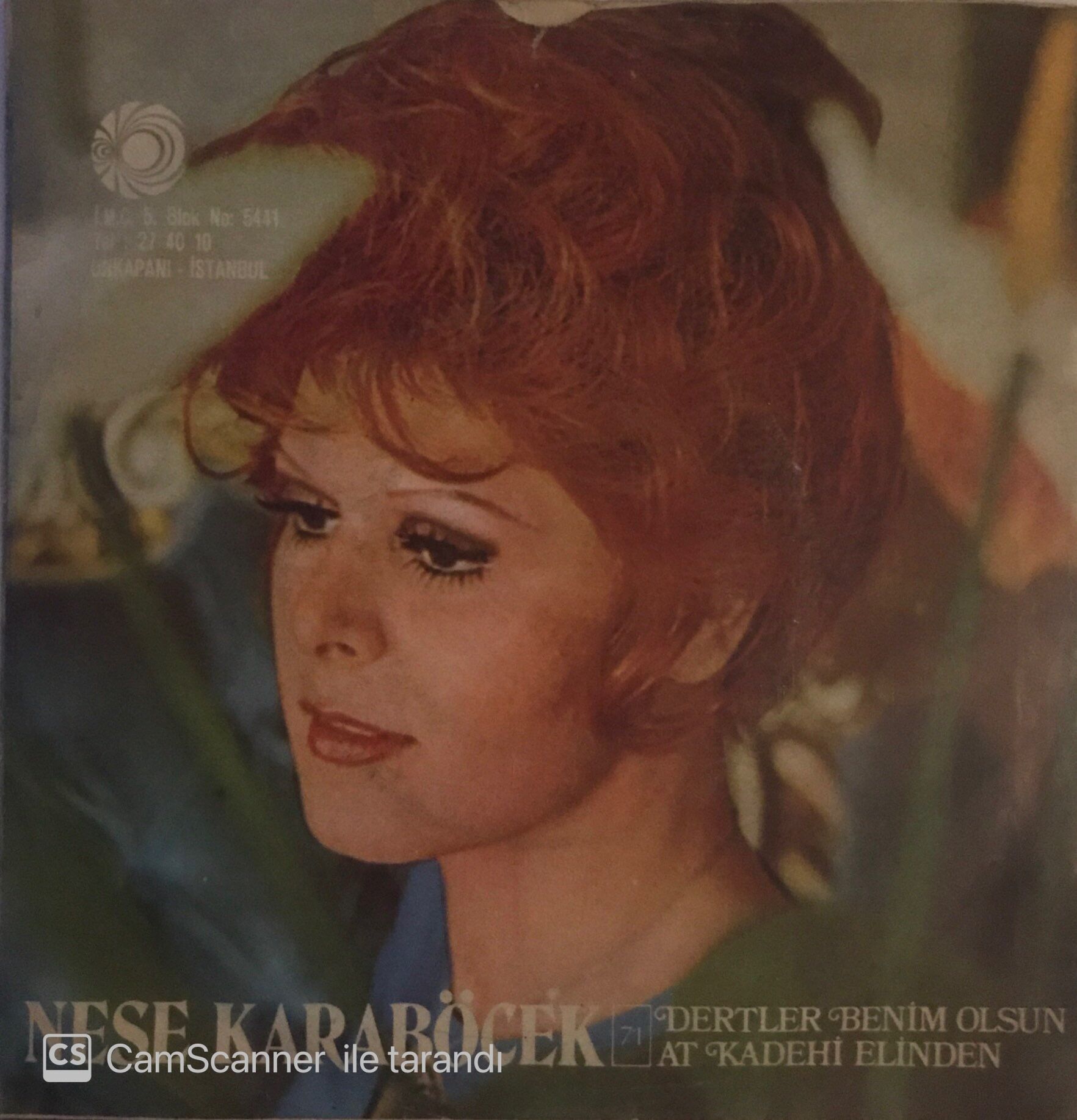 Neşe Karaböcek Dertler Benim Olsun 45lik